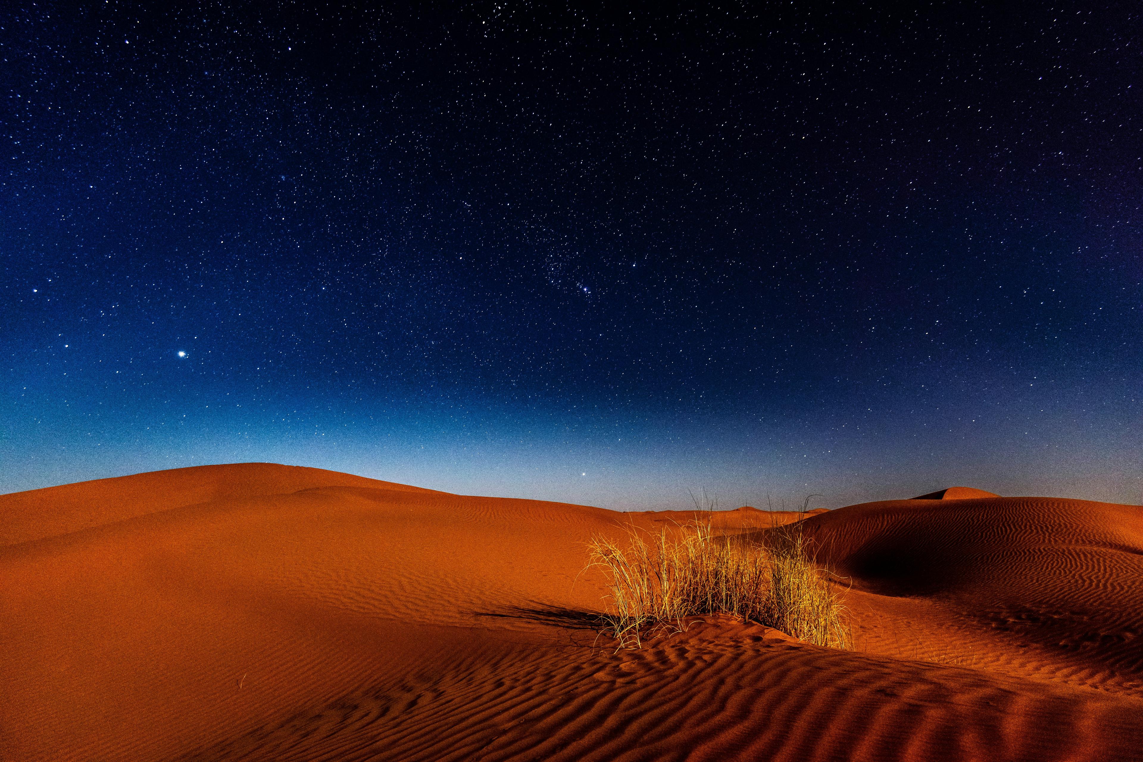 Desert Night Background